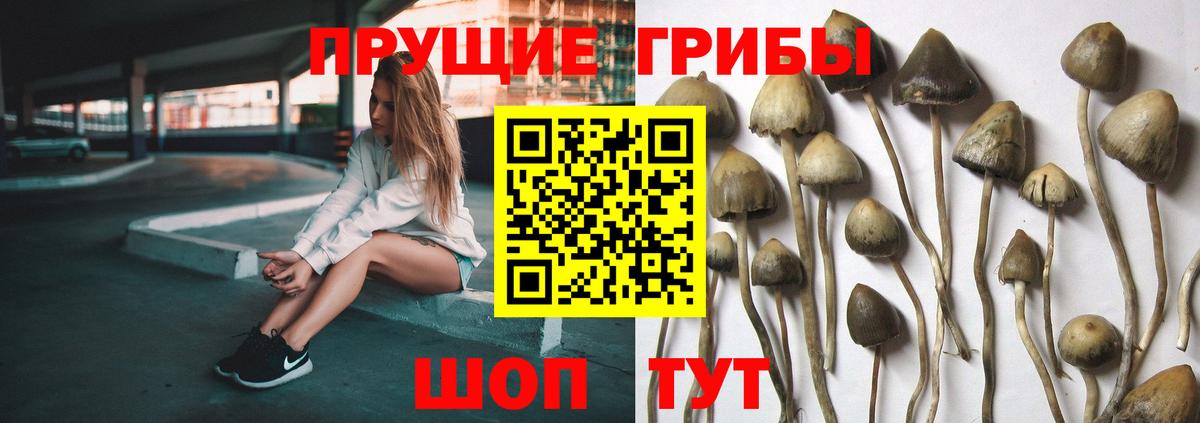 Аксай  Галлюциногенные грибы мухоморы  Вход с VPN 